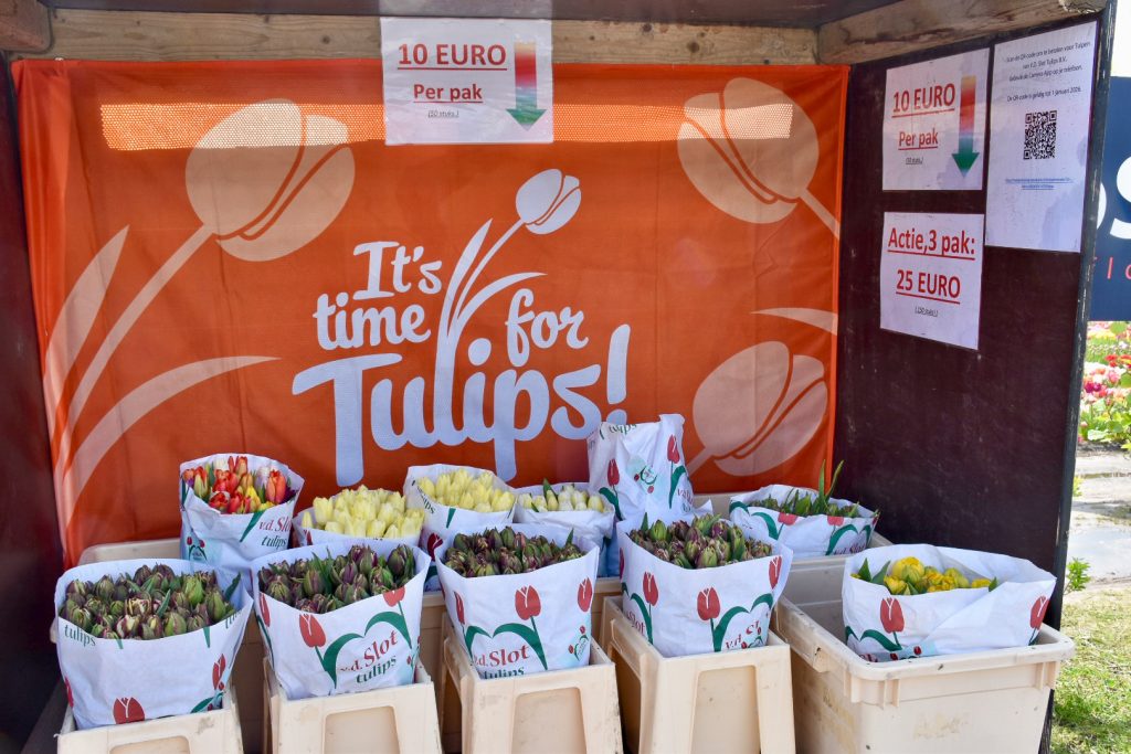 Stall with bags of tulip bulbs for sale and orange Tulip sign on the back wall