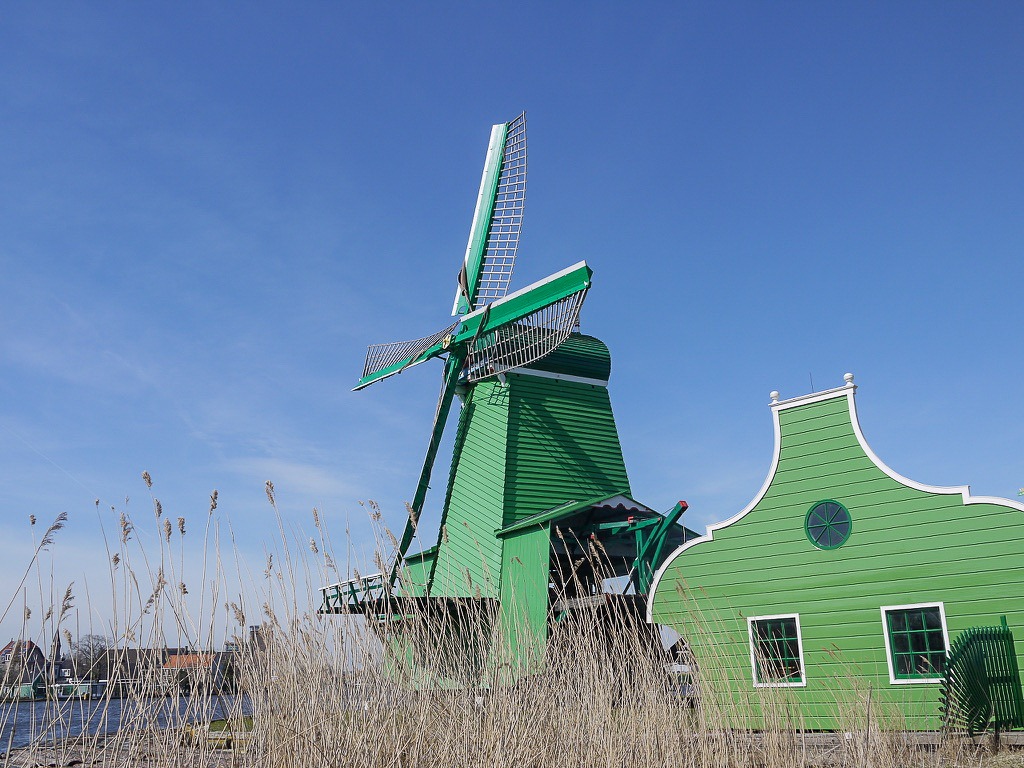 Reeds in the foreground. Green wooden windmill and adjacent barn with blue sky behind